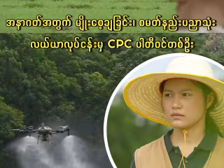 အနာဂတ်အတွက် မျိုးစေ့ချခြင်း၊ စမတ်နည်းပညာသုံး လယ်ယာလုပ်ငန်းမှ CPC ပါတီဝင်တစ်ဦး